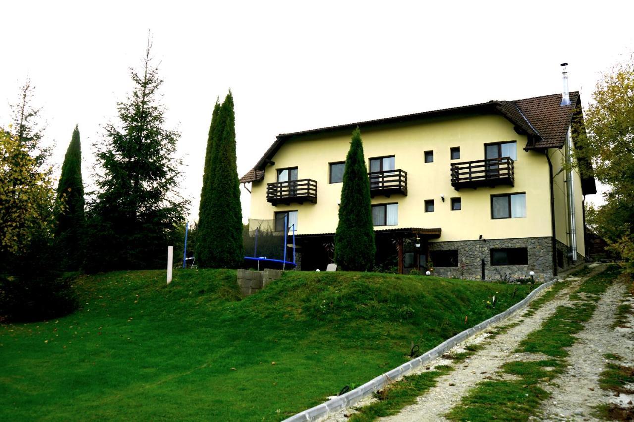 Vila Sohodol Travel Bran  Dış mekan fotoğraf