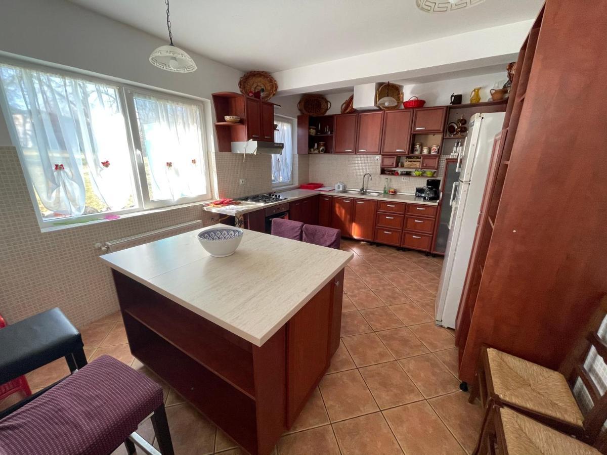 Vila Sohodol Travel Bran  Dış mekan fotoğraf