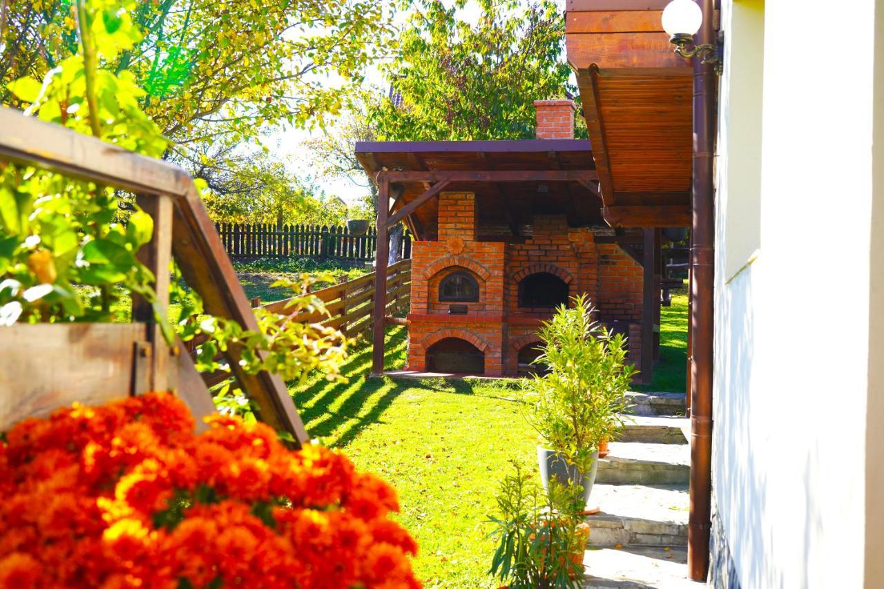 Vila Sohodol Travel Bran  Dış mekan fotoğraf