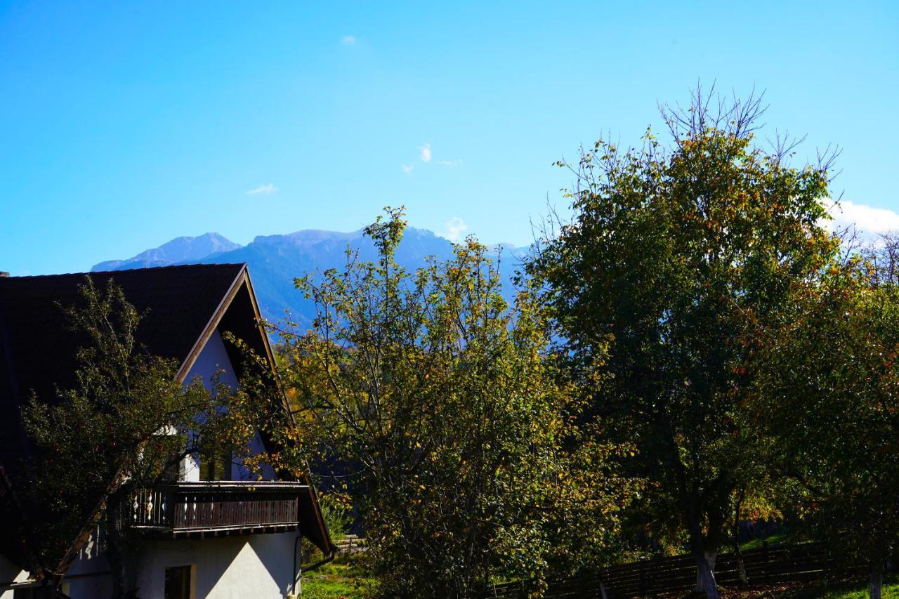 Vila Sohodol Travel Bran  Dış mekan fotoğraf