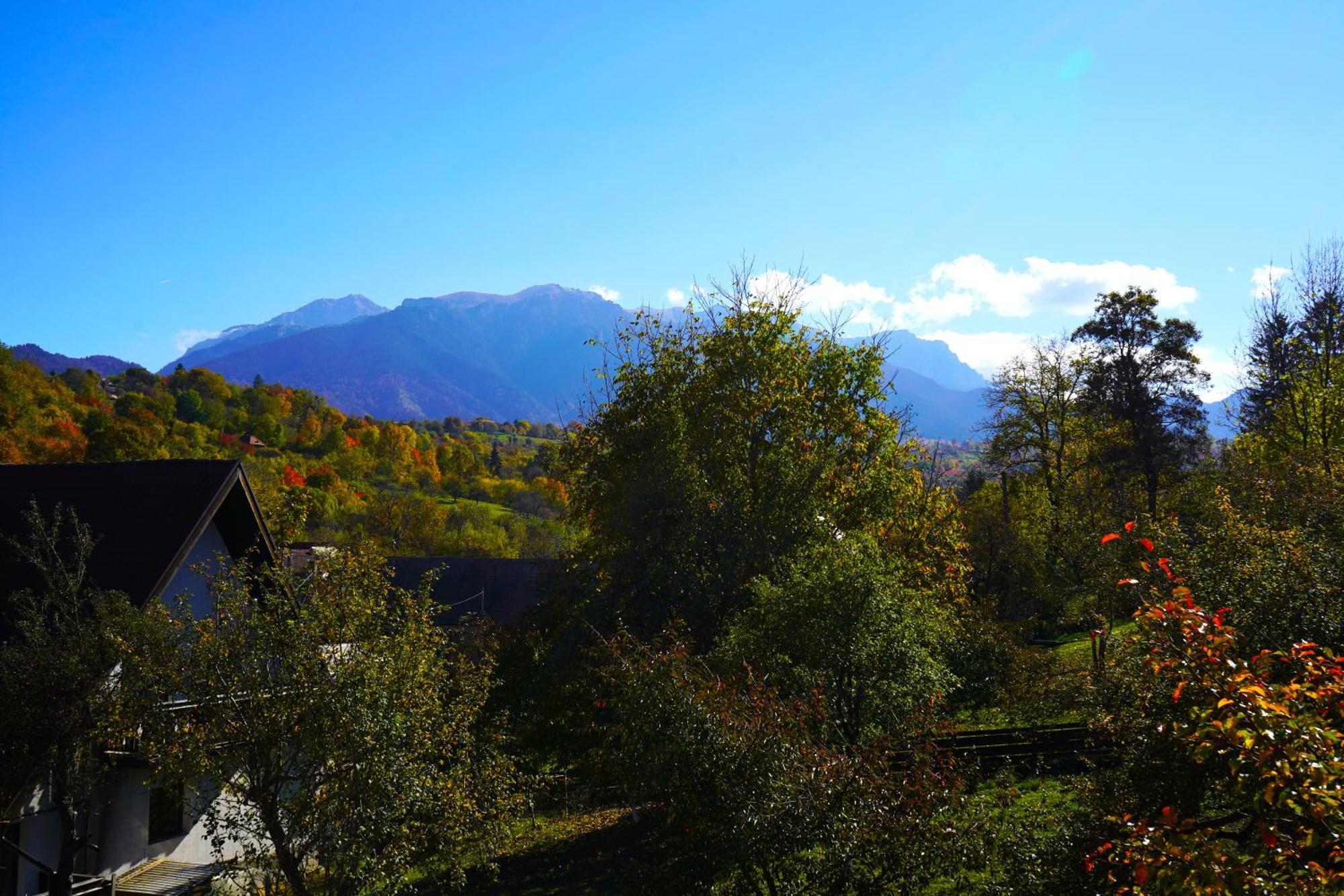 Vila Sohodol Travel Bran  Dış mekan fotoğraf